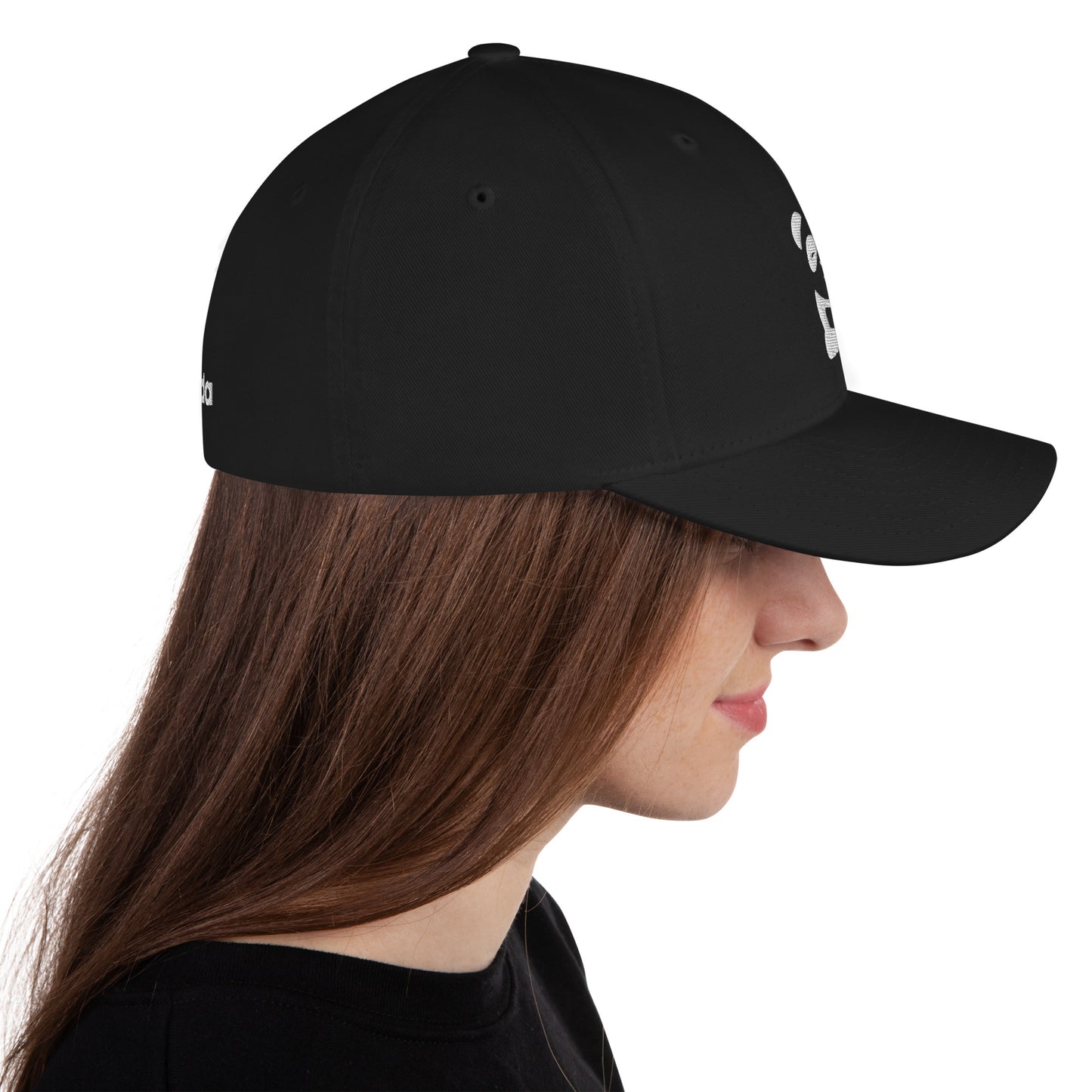 EzPanda® Classic Closed-Back Cap (Original Logo - Transparent White)