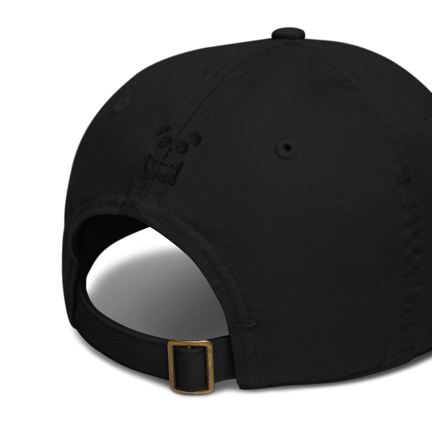 EzPanda® Organic Dad Hat