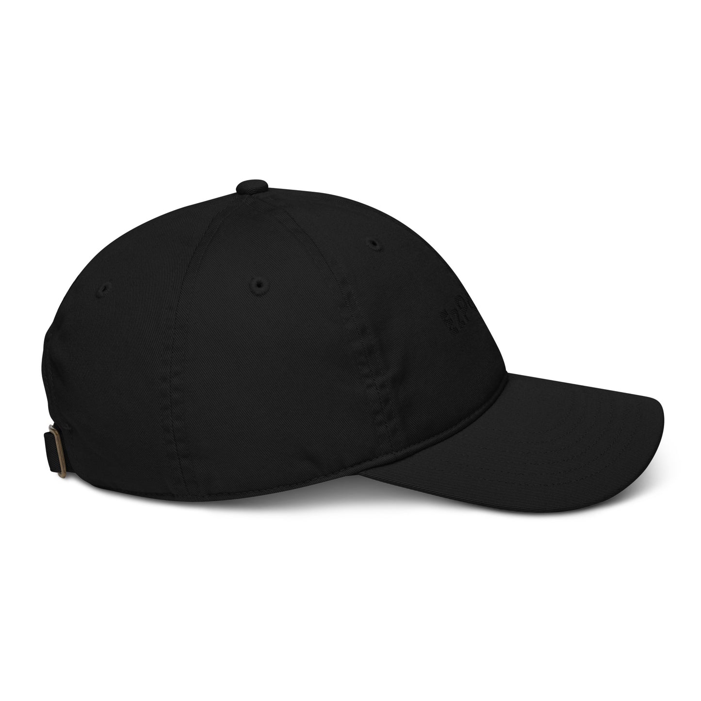 EzPanda® Organic Dad Hat
