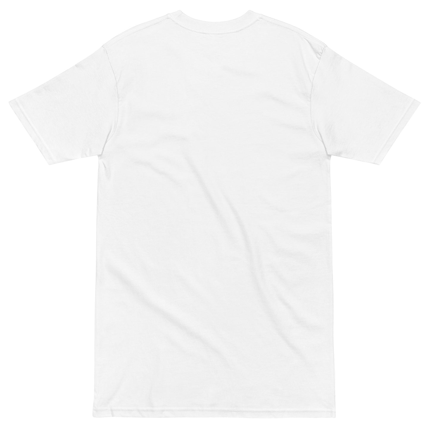EzPanda® Men's Premium Oversized T-Shirt (Original Logo - Transparent)